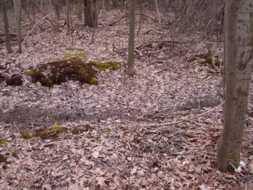 [Hearth.com] Best way to clear a path into the wood lot ????