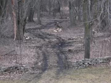 [Hearth.com] Best way to clear a path into the wood lot ????