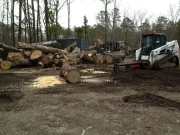 [Hearth.com] Cut and processed some wood yesterday