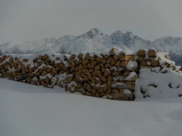 [Hearth.com] Walked around the wood stacks today