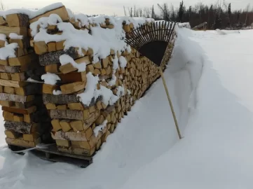 [Hearth.com] Walked around the wood stacks today