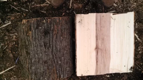 [Hearth.com] Tree IDs please ... what have I been splitting?