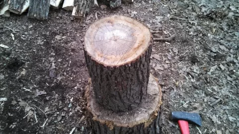 [Hearth.com] Tree IDs please ... what have I been splitting?