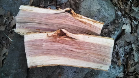 [Hearth.com] Tree IDs please ... what have I been splitting?