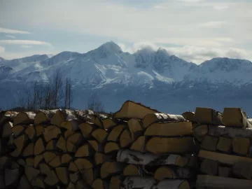 [Hearth.com] Walked around the wood stacks today