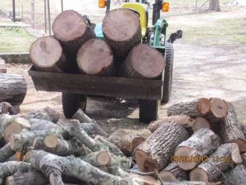 [Hearth.com] Some Sandy and blizzard oak