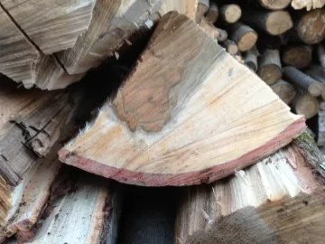 [Hearth.com] Cutting Advice- Snapped Tree