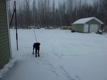 [Hearth.com] Took the plow off the ATV yesterday,  Big Mistake!