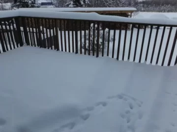 [Hearth.com] Snowed 5"plowed once, started snowing again