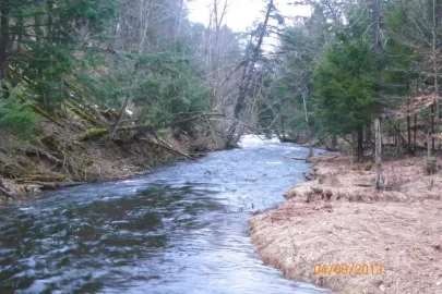 [Hearth.com] The Brook