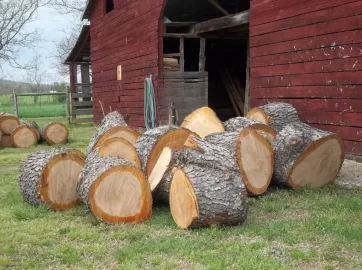 [Hearth.com] 2 Very large tree ( all cherry )