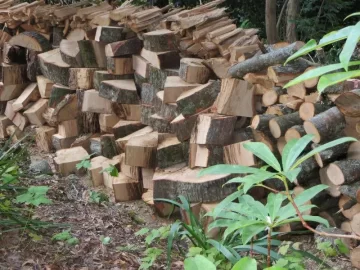 [Hearth.com] Help required - is this oak?