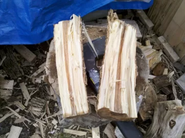 [Hearth.com] Tree /Wood ID