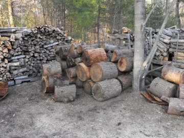 [Hearth.com] Hemlock score....Big rounds...