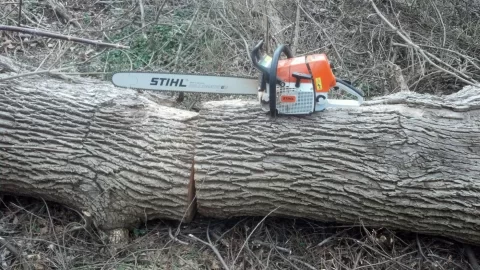 [Hearth.com] Let's see some chainsaw pics