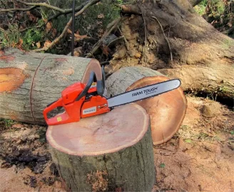 [Hearth.com] Let's see some chainsaw pics