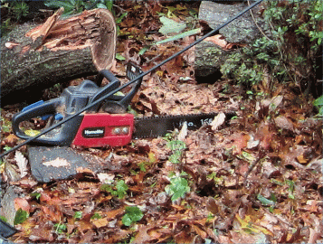 [Hearth.com] Let's see some chainsaw pics