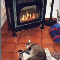 Cat-stove