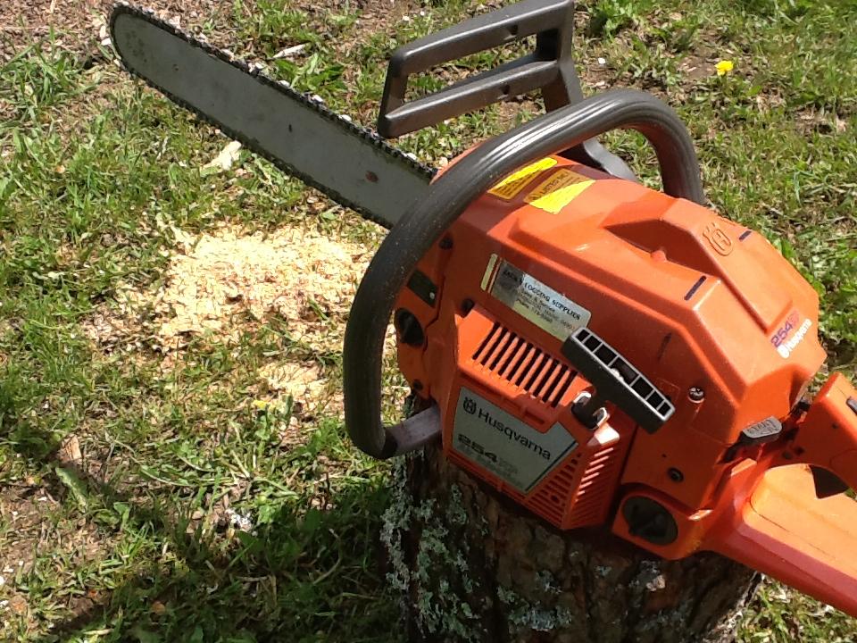 Let's see some chainsaw pics
