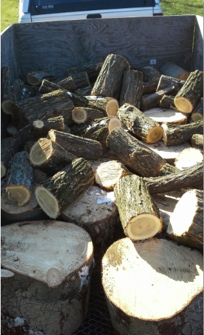 [Hearth.com] White Pine and Honey Locust (?)