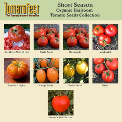 www.tomatofest.com